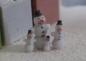 Preview: Schneemann TT