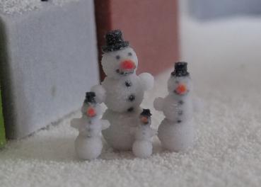 Schneemann TT
