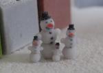 Schneemann TT